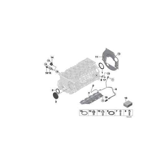 Genuine BMW 11137555904 E64 E92 E63 Oil Deflector (Inc. 125i, 525i & 130i) | ML Performance UK Car Parts