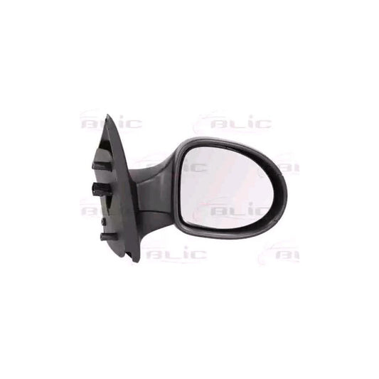 Blic 5402-09-2002224P Wing Mirror For Renault Twingo