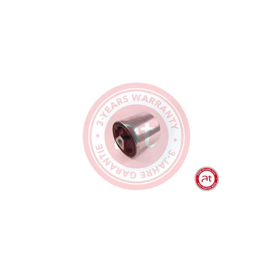 At Autoteile Germany at10581 Control Arm- / Trailing Arm Bush