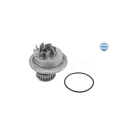 Meyle 29-13 220 0001 Water Pump