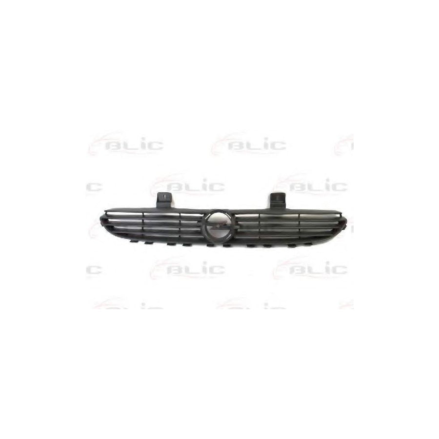Blic 6502-07-5022993P Radiator Grille