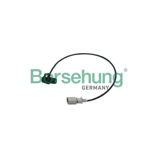 Borsehung B13670 Crankshaft Sensor