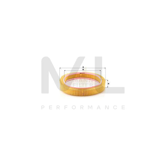 MANN-FILTER C 42 098 Air Filter Filter Insert | ML Performance Car Parts