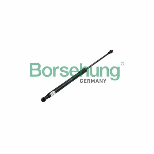 Borsehung B14198 Tailgate Strut For Skoda Superb Ii Hatchback (3T4)