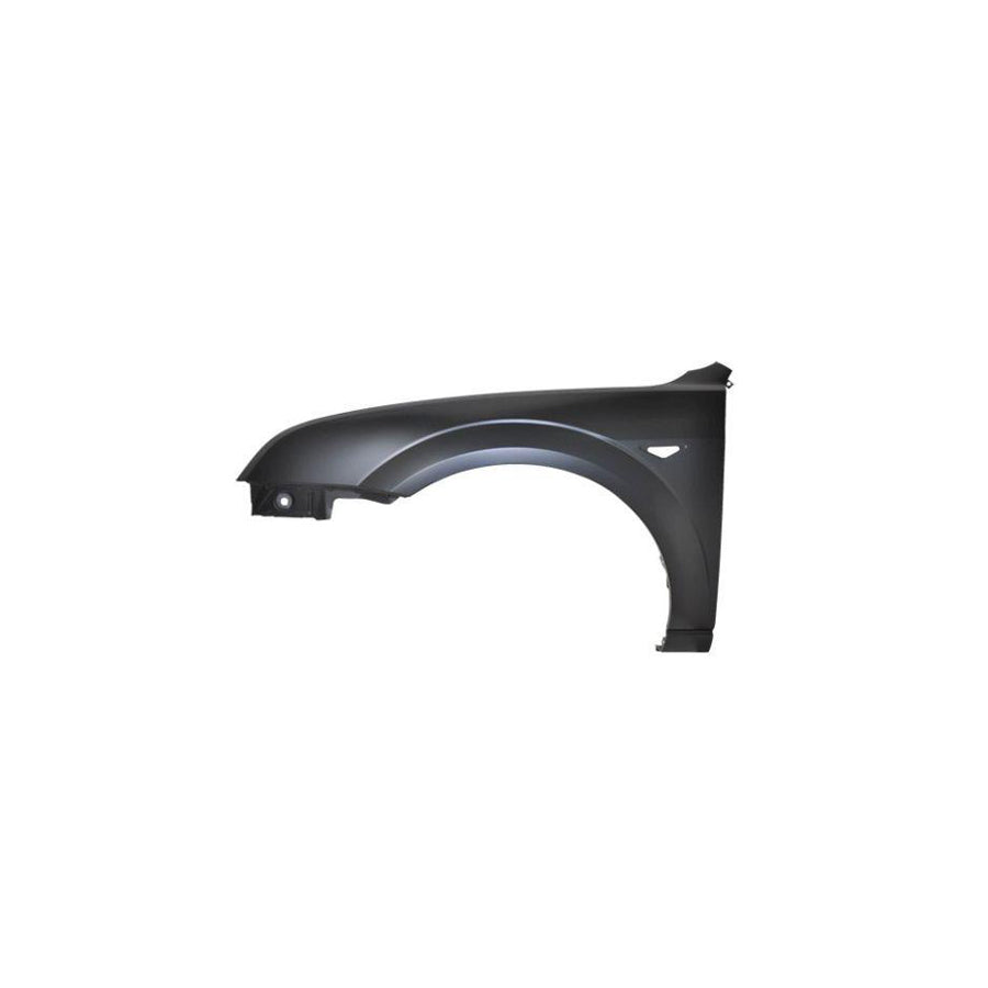 Abakus 01725211 Wing Fender For Ford Mondeo | ML Performance UK
