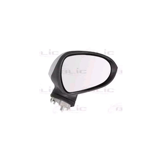 Blic 5402-10-2002282P Wing Mirror For Seat Exeo