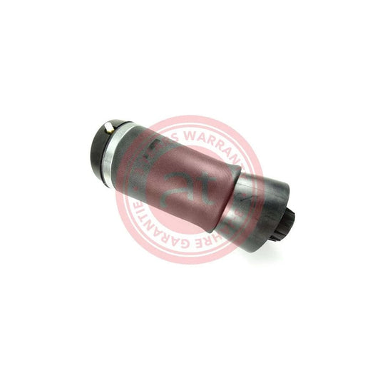 At Autoteile Germany at10869 Air Spring, Suspension For Jeep Grand Cherokee Iv (Wk, Wk2)