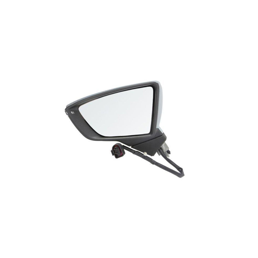 Blic 5402-10-2002301P Wing Mirror