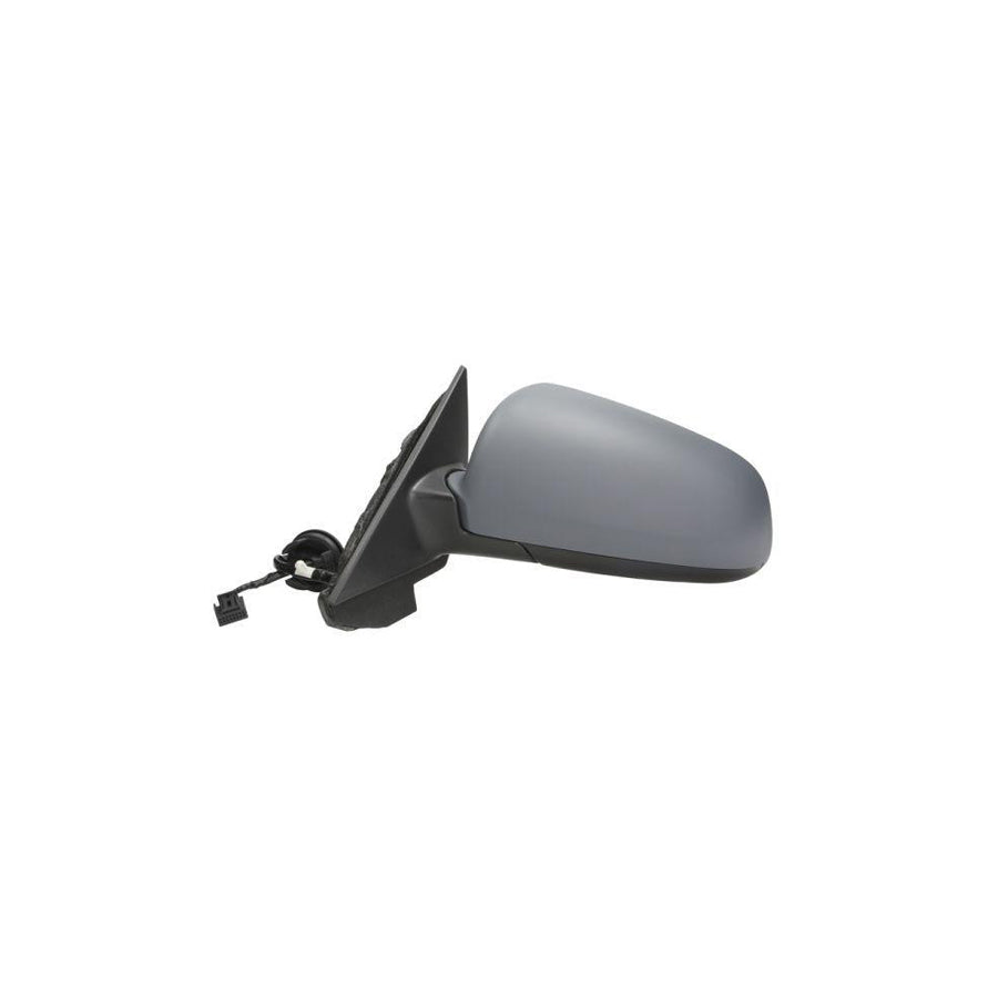 Blic 5402-04-1155599 Wing Mirror For Audi A3