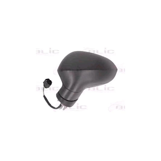 Blic 5402-10-2002291P Wing Mirror For Seat Leon II Hatchback (1P1)
