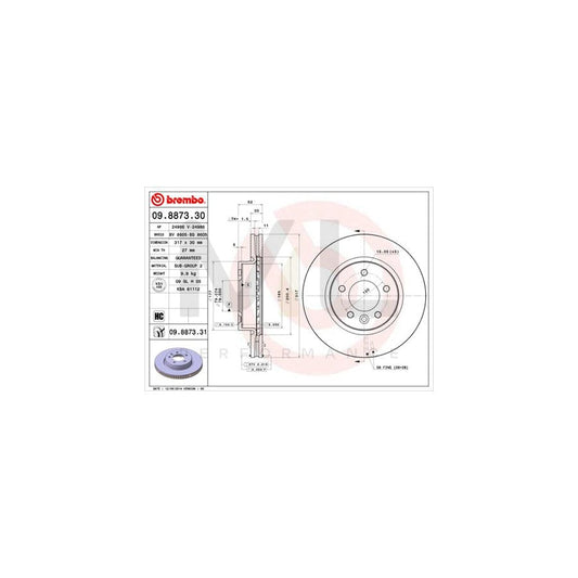 BREMBO 09.8873.30 Brake Disc Internally Vented, High-carbon | ML Performance Car Parts