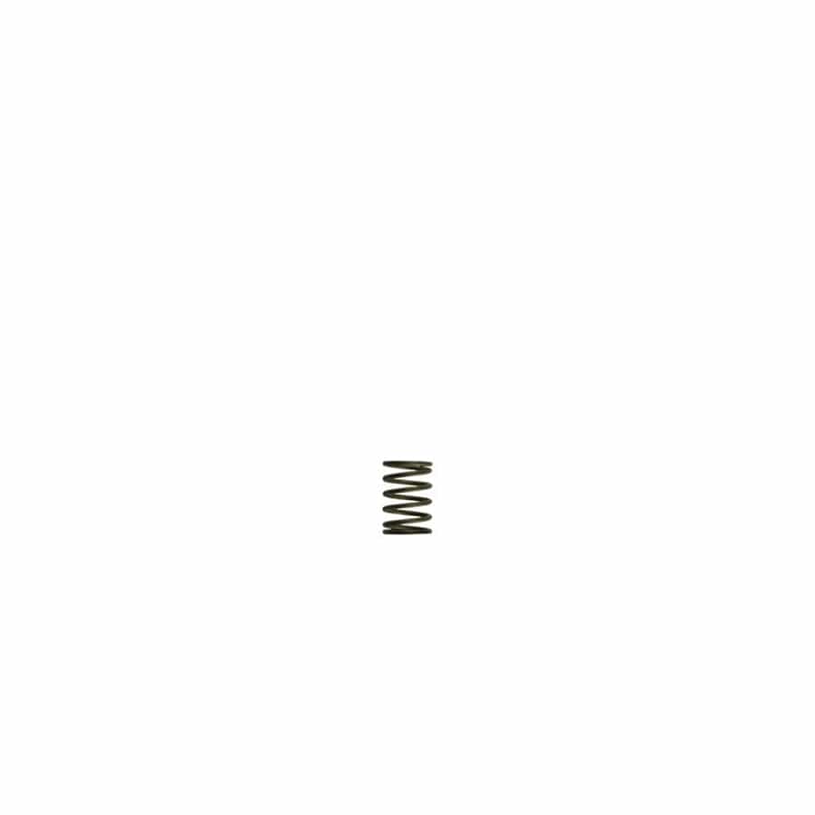Turbosmart TS-0550-3081 GenV WG38/40 3psi Black Inner Spring | ML Performance UK Car Parts