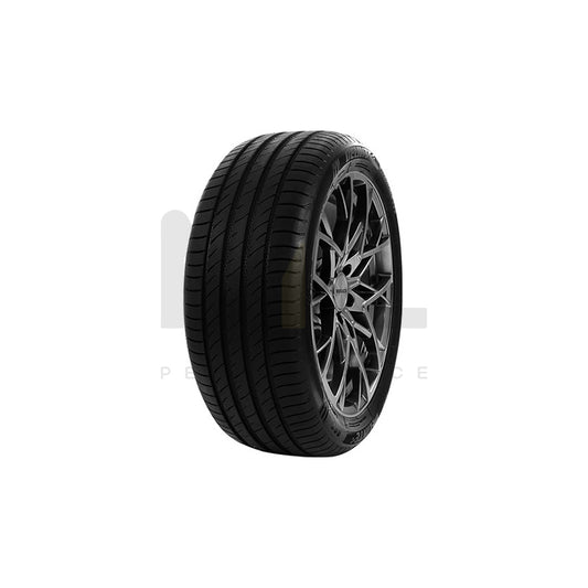 Delinte DS2 XL 225/50 R17 98W Summer Tyre | ML Performance UK Car Parts
