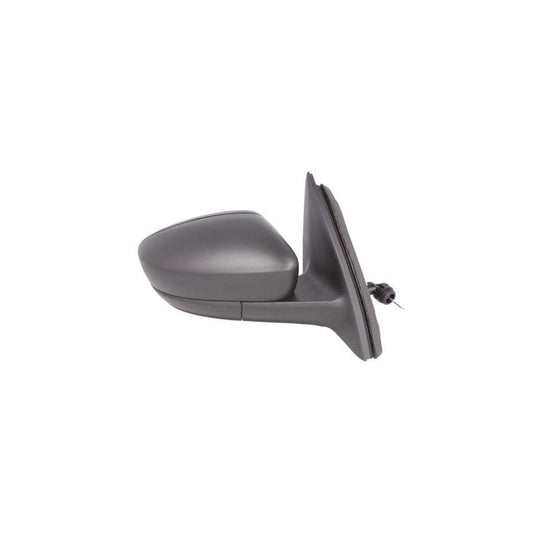 Blic 5402-10-2002320P Wing Mirror
