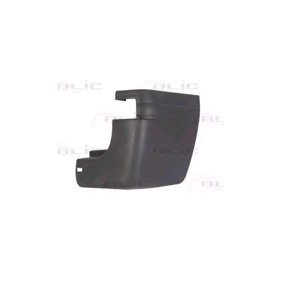 Blic 5510-00-2509966P Bumper