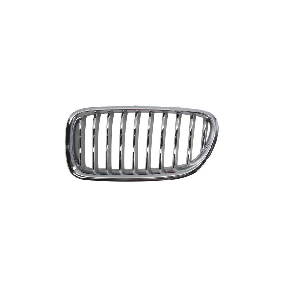 Blic 6502-07-0067997Cp Radiator Grille For BMW 5 Series