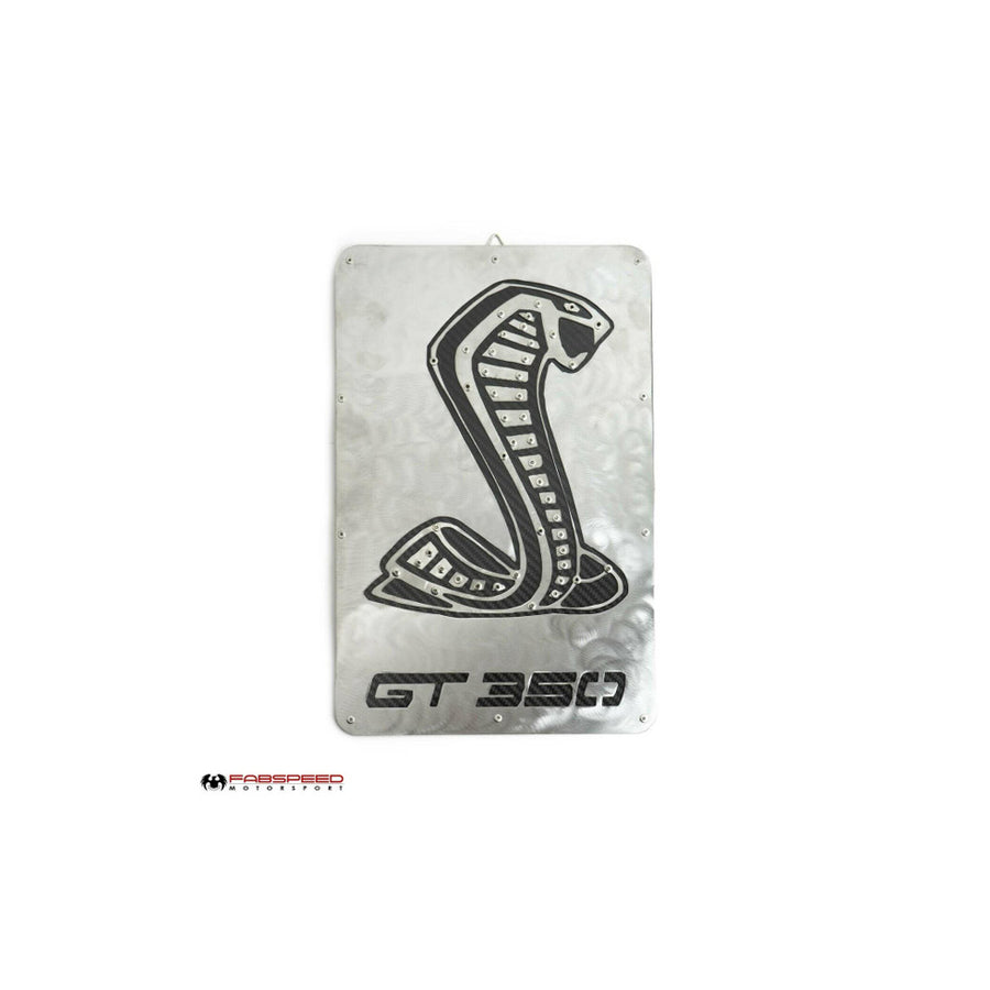 Fabspeed Carbon Fiber Wall Art - Shelby GT350 | ML Performance UK