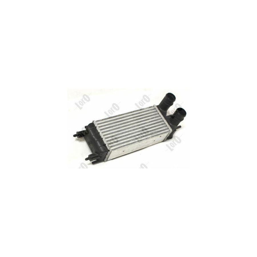 Abakus 0090180013 Intercooler | ML Performance UK