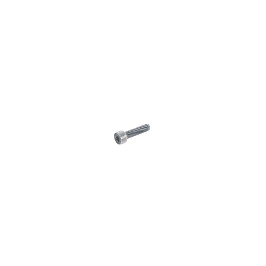 Genuine BMW 07129904343 E85 E86 Inner Hex Bolt M5X22 (Inc. Z4) | ML Performance UK Car Parts