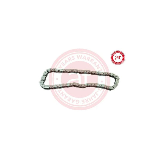 At Autoteile Germany at12606 Chain, Oil Pump Drive