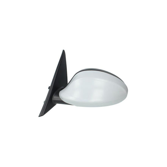 Blic 5402-04-1191520 Wing Mirror