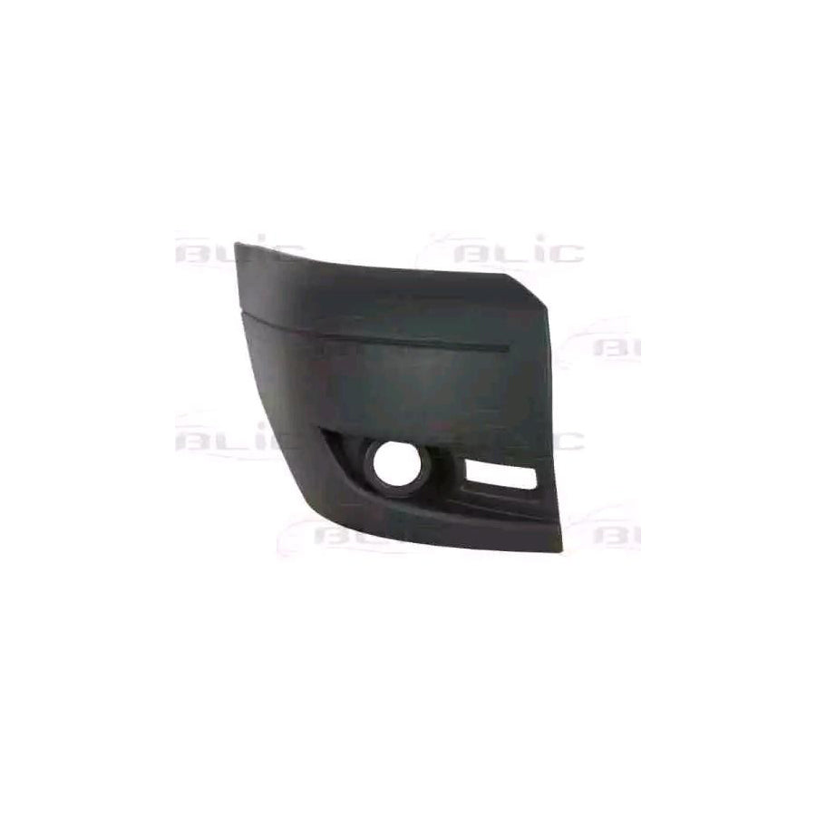 Blic 5510-00-2510916Q Bumper