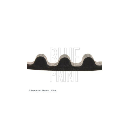 Blue Print ADS77504 Timing Belt