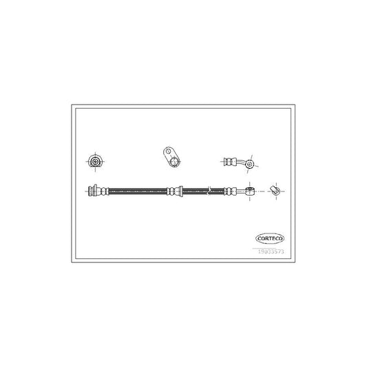 Corteco 19033573 Brake Hose For Honda Accord | ML Performance UK
