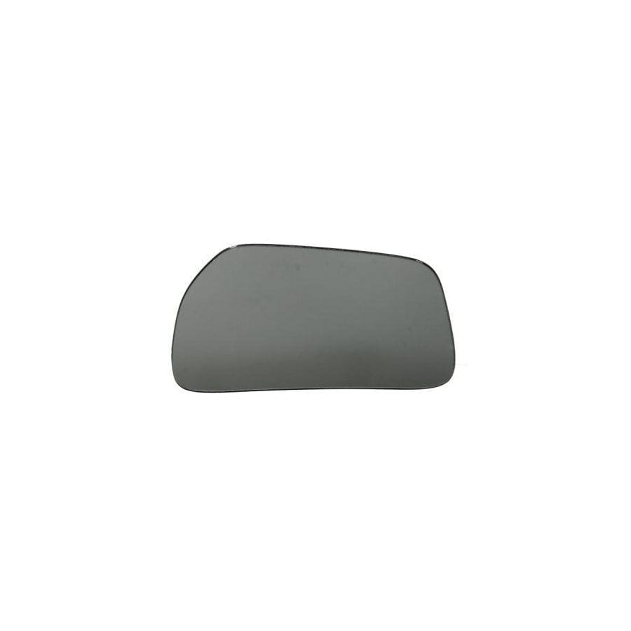 Blic 6502-07-2583995P Bumper Grill