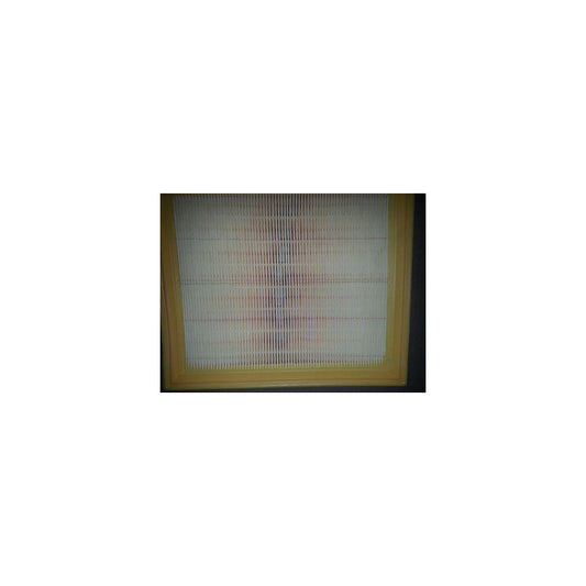 Bugiad BSP20856 Air Filter