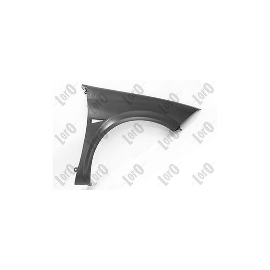 Abakus 04234212 Wing Fender For Renault Megane | ML Performance UK