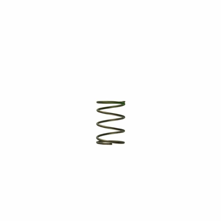 Turbosmart TS-0550-3087 GenV WG45/50 7psi Green Middle Spring | ML Performance UK Car Parts