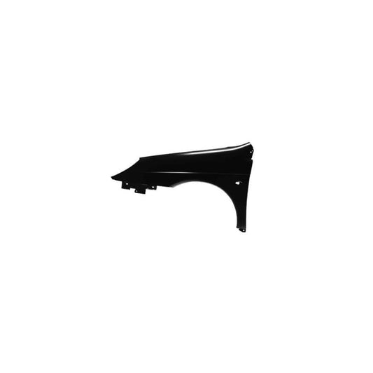 Abakus 00918201 Wing Fender For Citroën C5 | ML Performance UK