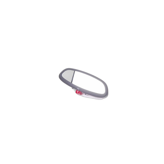 Genuine BMW 51168257711 E52 Rearview Mirror Ec / Led / Radio 315 MHZ (Inc. Alpina V8 & Z8)