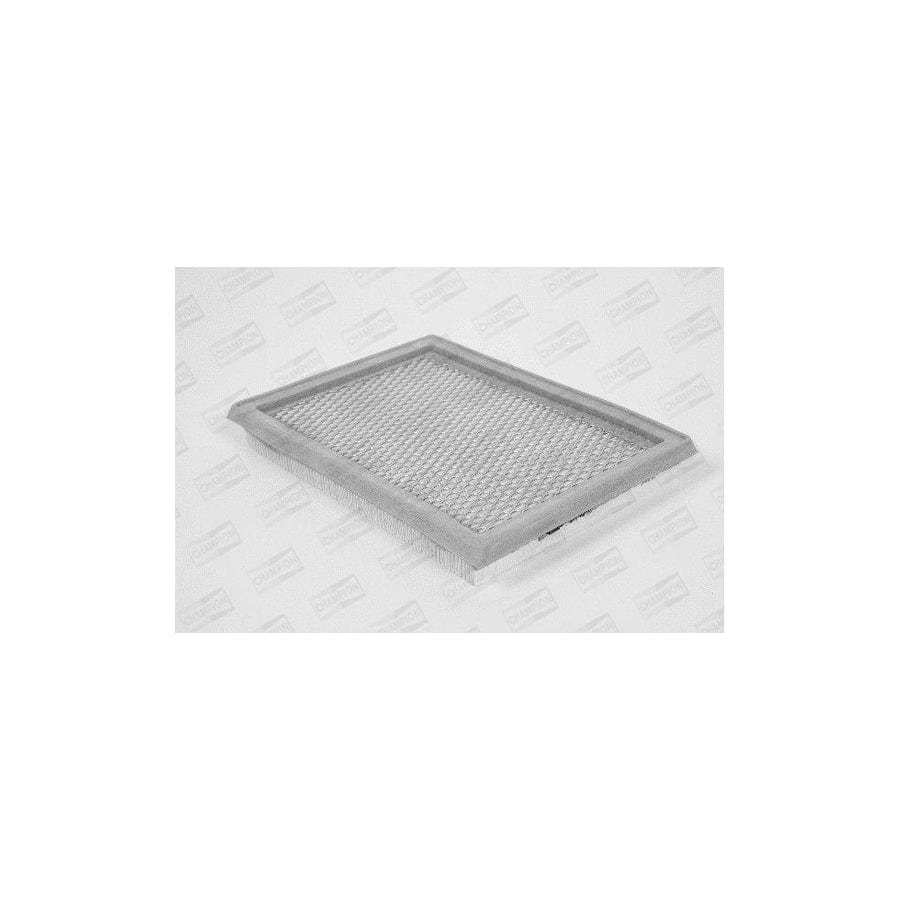 Champion U665/606 Air Filter
