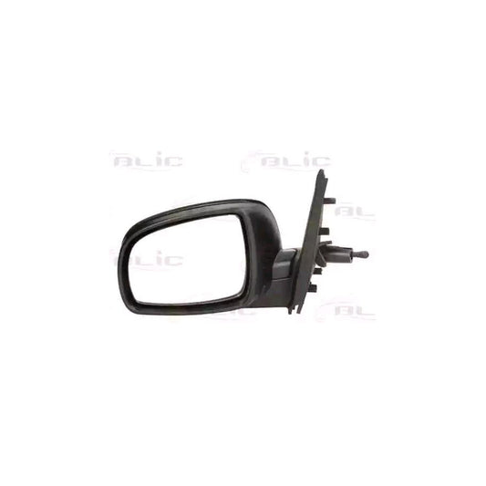 Blic 5402-16-039365P Wing Mirror