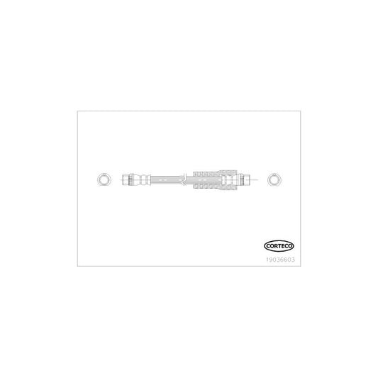 Corteco 19036603 Brake Hose | ML Performance UK