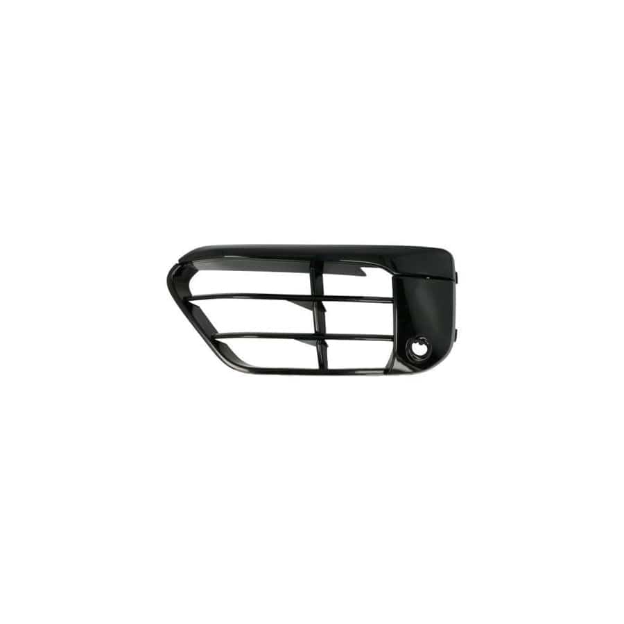Blic 6502-07-0082911Sp Bumper Grill For BMW X1 (F48)