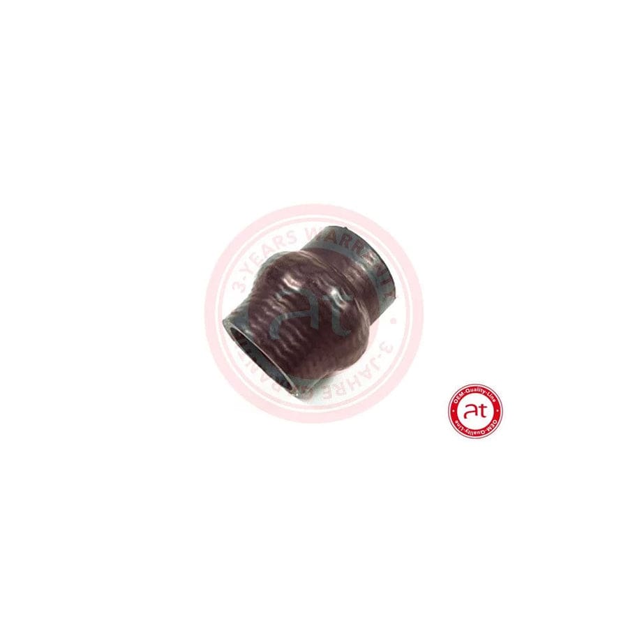 At Autoteile Germany at20299 Radiator Hose