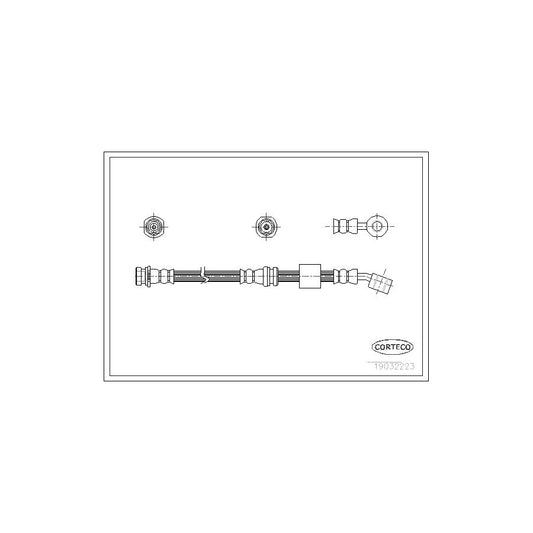 Corteco 19032223 Brake Hose | ML Performance UK