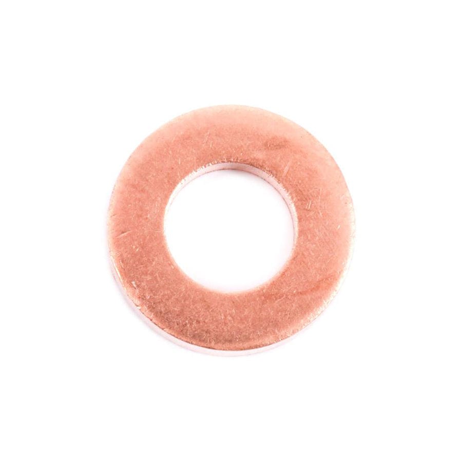 Delphi 9001-850C Seal Ring, Injector Shaft