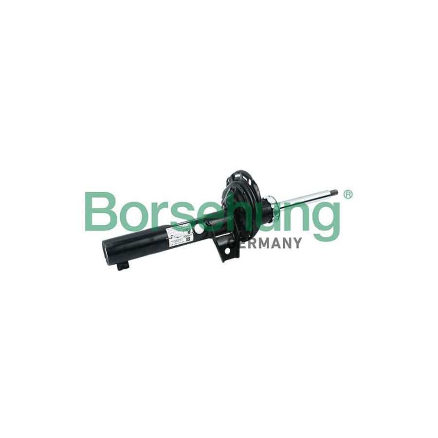 Borsehung B17892 Shock Absorber