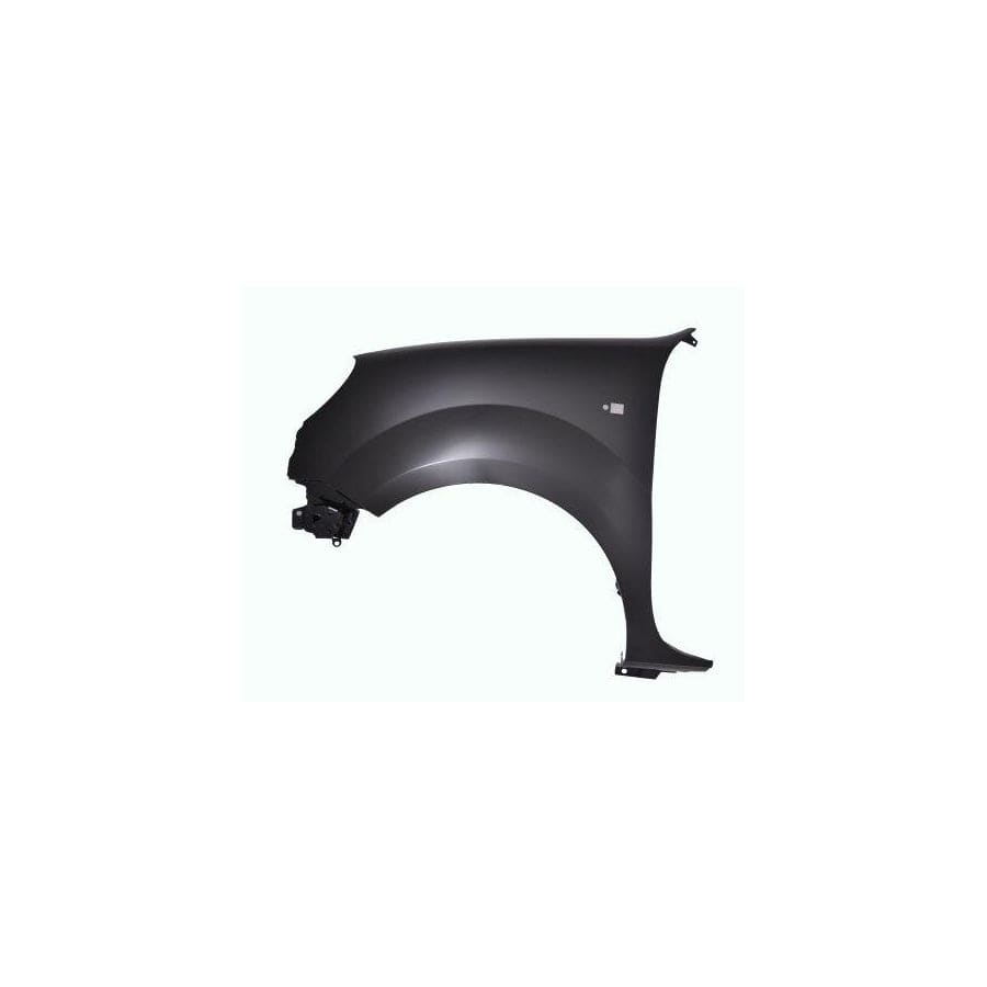Abakus 04239211 Wing Fender For Renault Kangoo | ML Performance UK