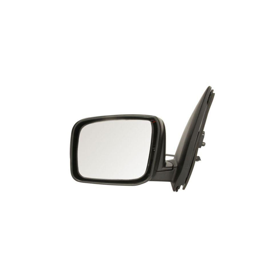 Blic 5402-16-2001959P Wing Mirror For Nissan X-Trail (T31)