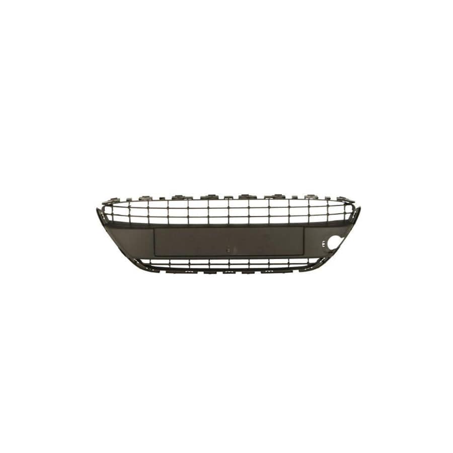 Blic 6509-01-2565995P Bumper Grill For Ford Fiesta