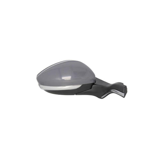 Blic 5402-16-2001939P Wing Mirror