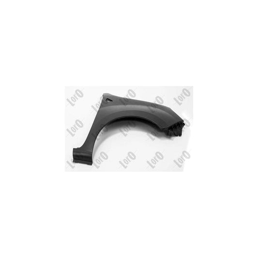 Abakus 04240202 Wing Fender For Renault Kangoo | ML Performance UK