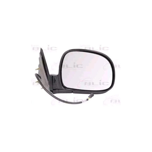 Blic 5402-18-2001330P Wing Mirror