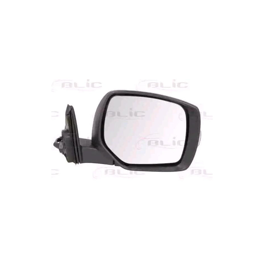 Blic 5402-17-2002398P Wing Mirror For Subaru Outback IV (Br)