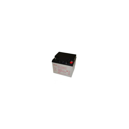 Enersys NPX150-12 DataSafe SLA Battery 12v 40Ah | ML Performance UK Car Parts